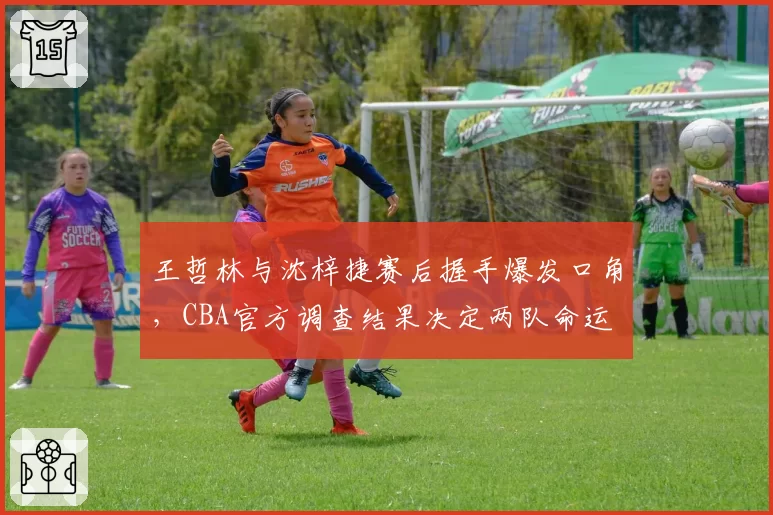 王哲林与沈梓捷赛后握手爆发口角,CBA官方调查结果决定两队命运