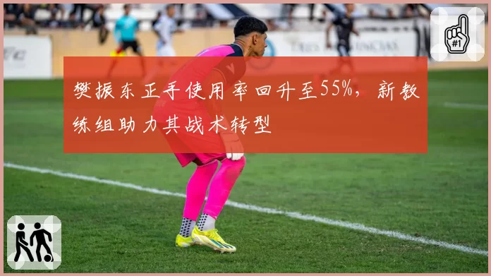 樊振东正手使用率回升至55%，新教练组助力其战术转型
